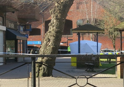 novi.jpg